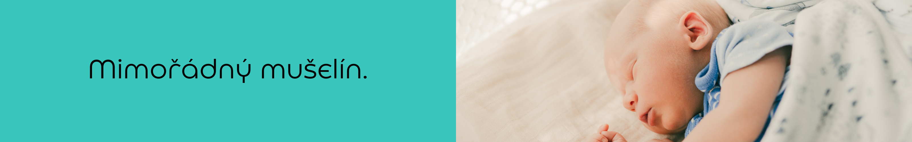 Kolekce - Mušelín - Banner 3200x500